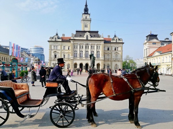 FRUŠKA GORA – SREMSKI KARLOVCI – PETROVARADIN – NOVI SAD