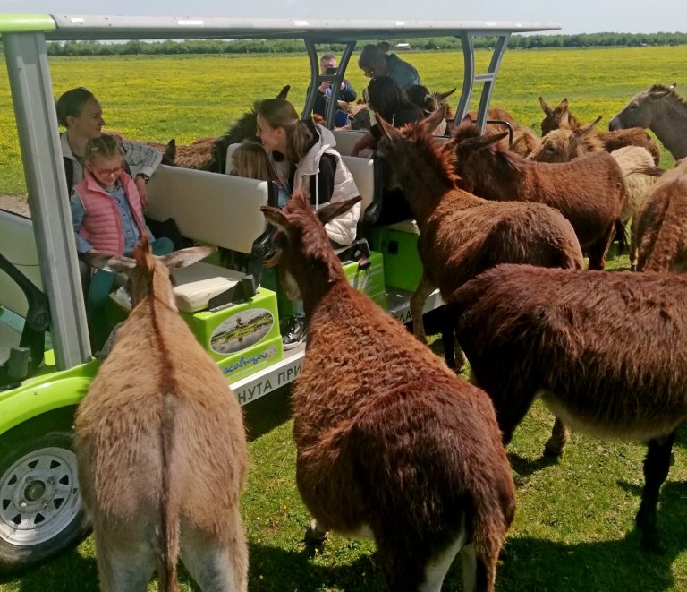 ENCOUNTER WITH NATURE AND TRADITION OF SREM